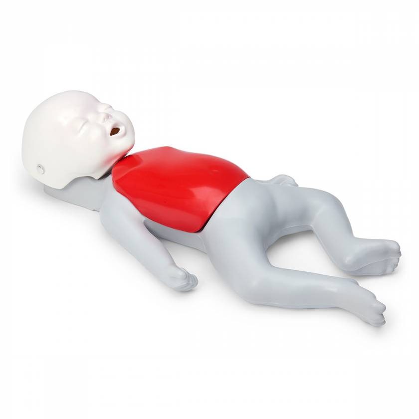 Nasco Basic Buddy CPR Manikin Convenience Pack