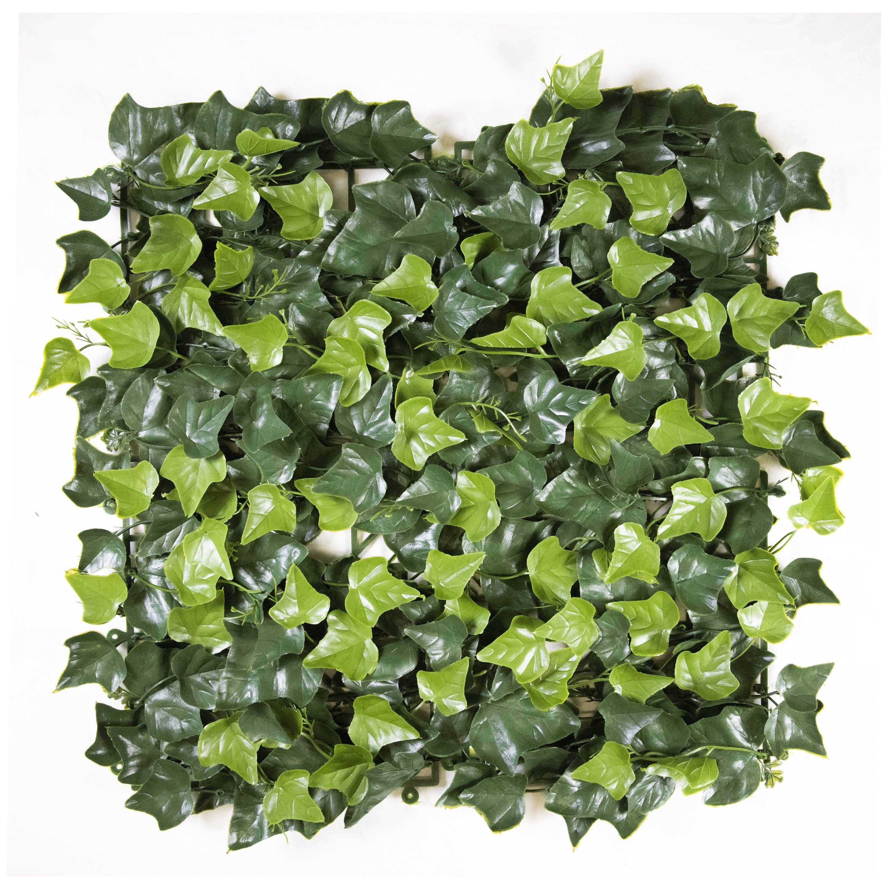  Multi-Layer Sweet Potato Leaves (12-Pack) 