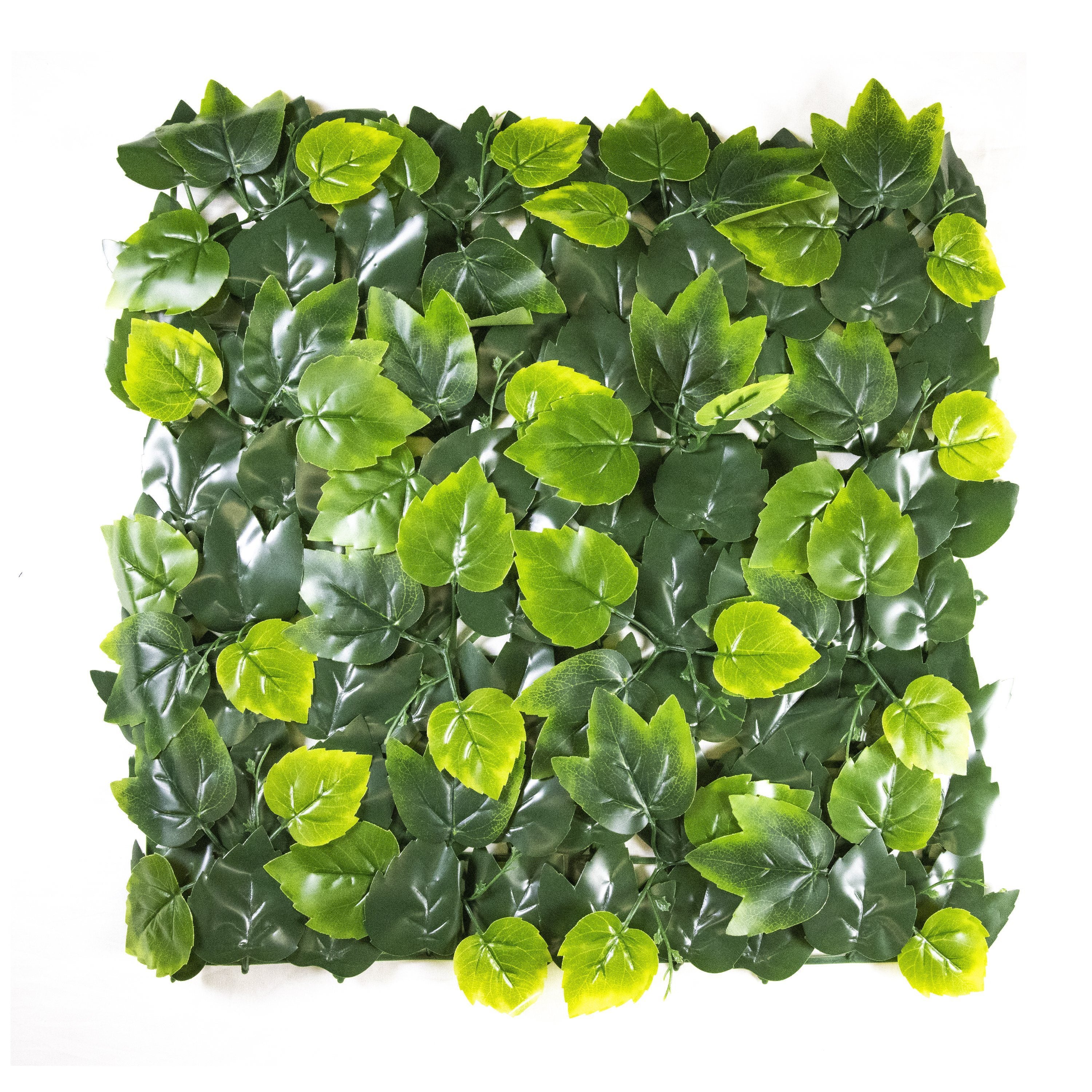  Birch Ivy Leaves (12-Pack) 