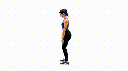 Best Weighted Bar Exercises for Beginners Deadlift