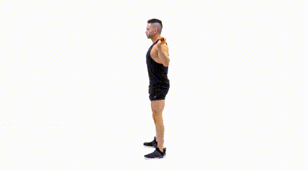 Best Weighted Bar Exercises for Beginners Back Squat