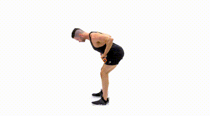 Best Weighted Bar Exercises for Beginners Bent-Over Row