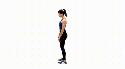 Best Weighted Bar Exercises for Beginners Romanian Deadlift