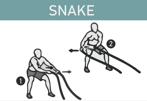 10 Best Battle Rope Workout for Beginners battle rope snakes