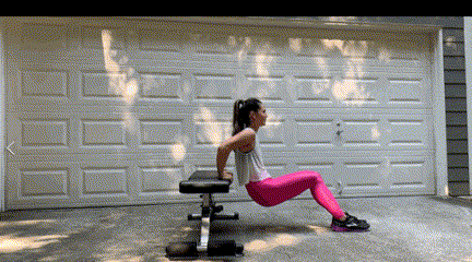 ritfit home workout bench bench dip
