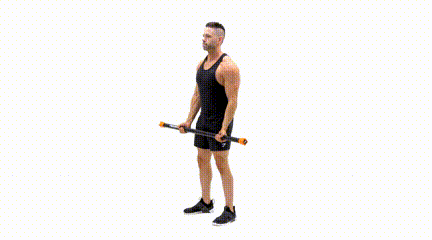 Best Weighted Bar Exercises for Beginners Bicep Curls