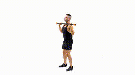 Weighted discount fitness bars