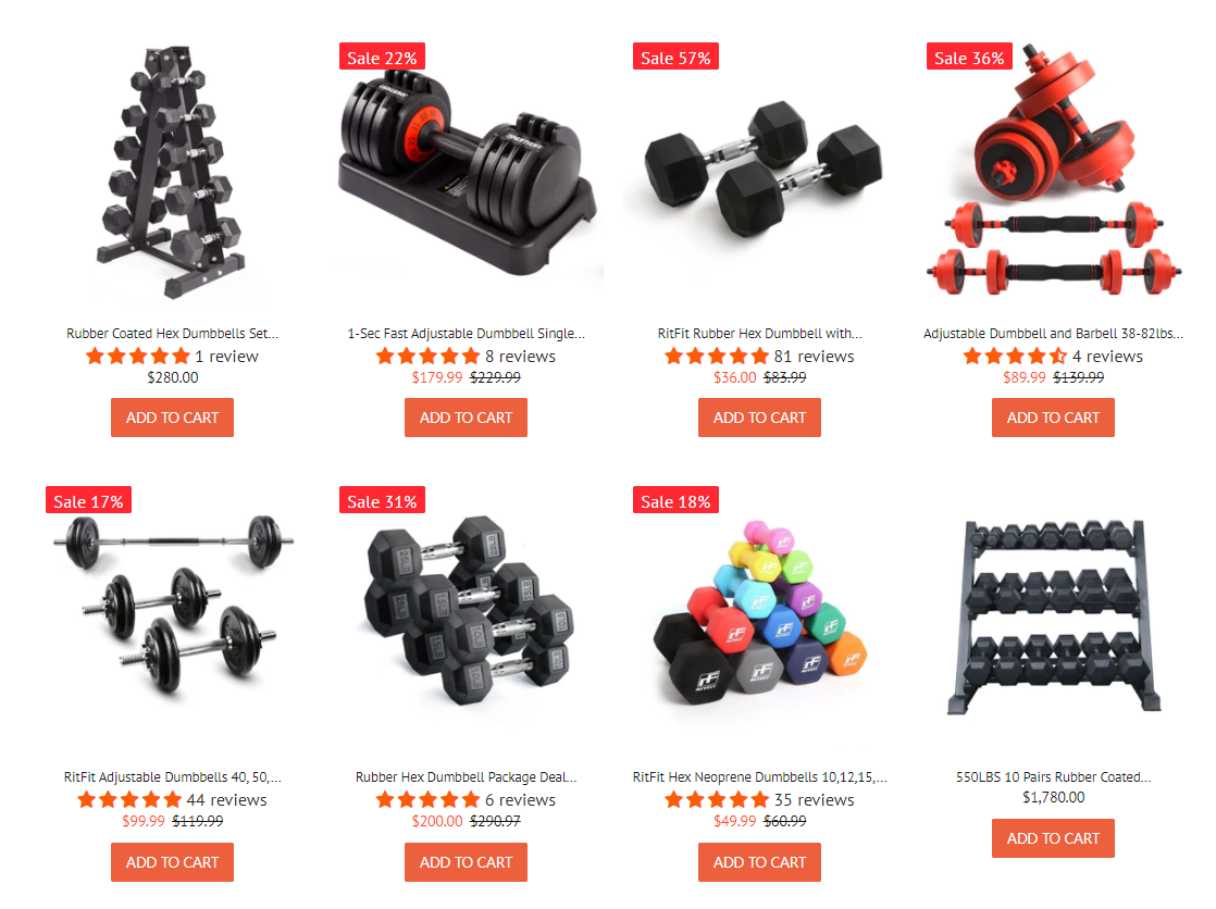 ritfit sports dumbbells