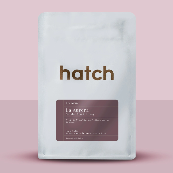 Hatch - La Aurora Geisha