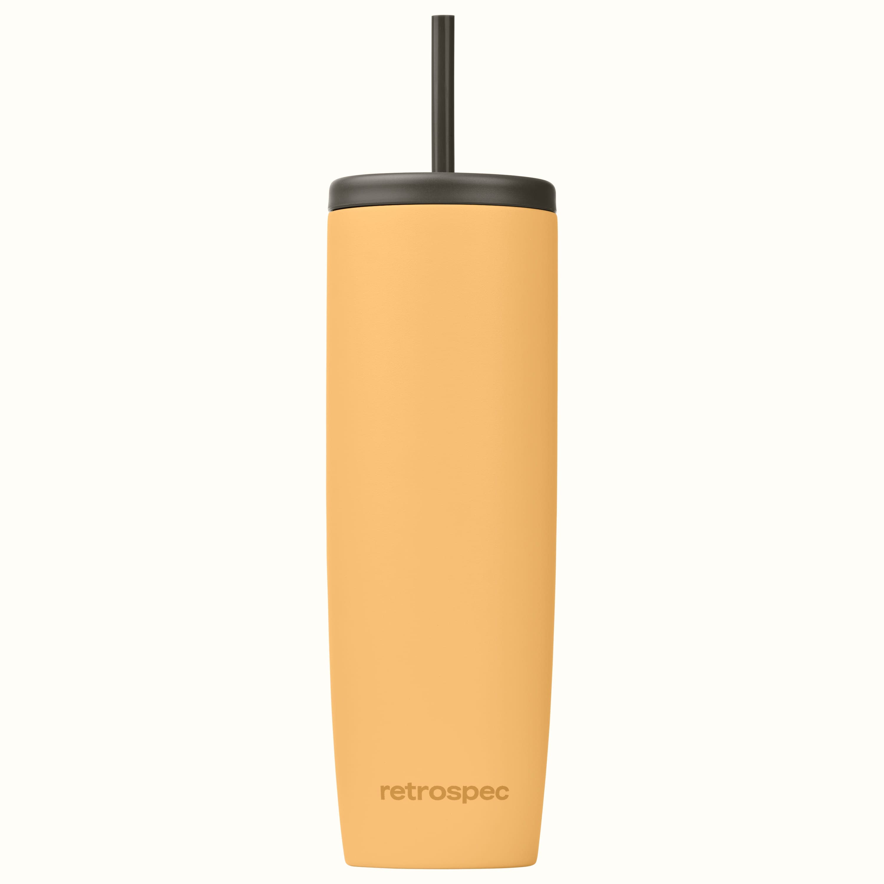 Arroyo Insulated Stainless Steel Tumbler