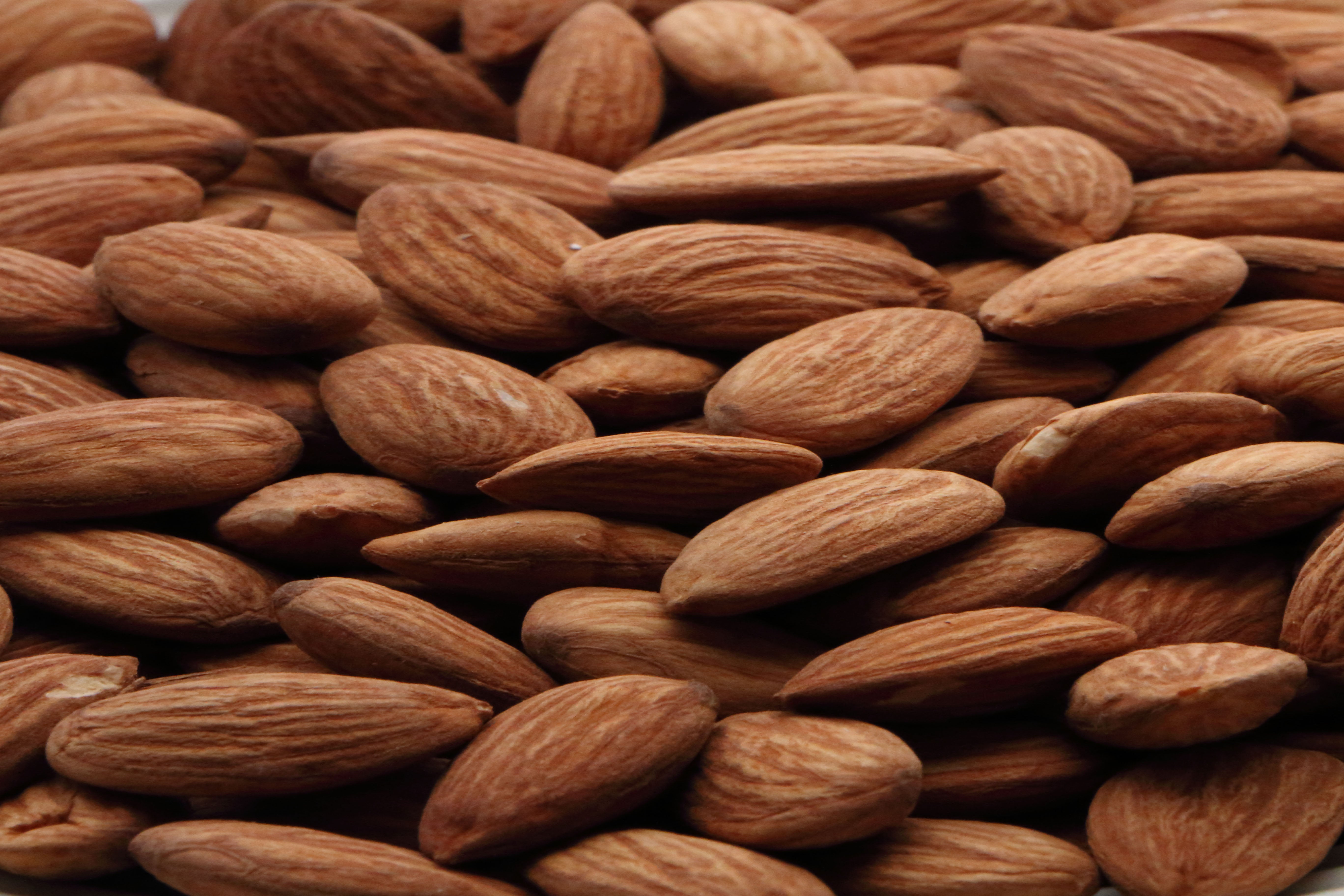 Dry Roasted No Salt Almonds