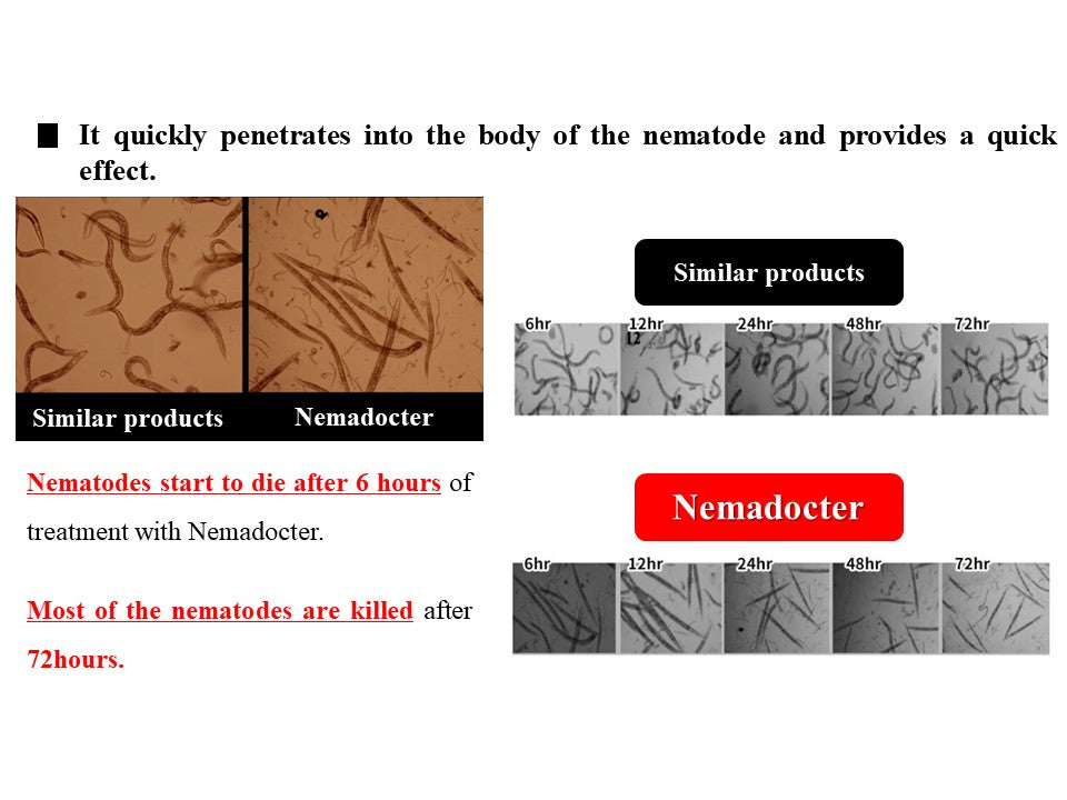 Nemadocter Biopesticide  product for nematode control 1L  Light brown microbial cultures | Type and content of raw materials : 100% microbial extract