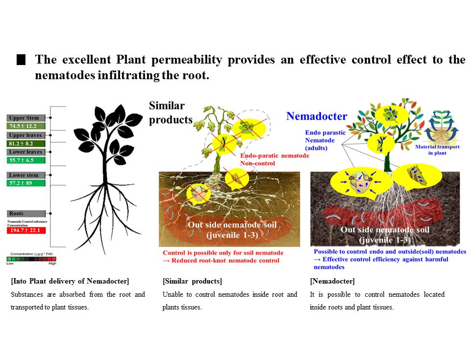 Nemadocter Biopesticide  product for nematode control 1L  Light brown microbial cultures | Type and content of raw materials : 100% microbial extract