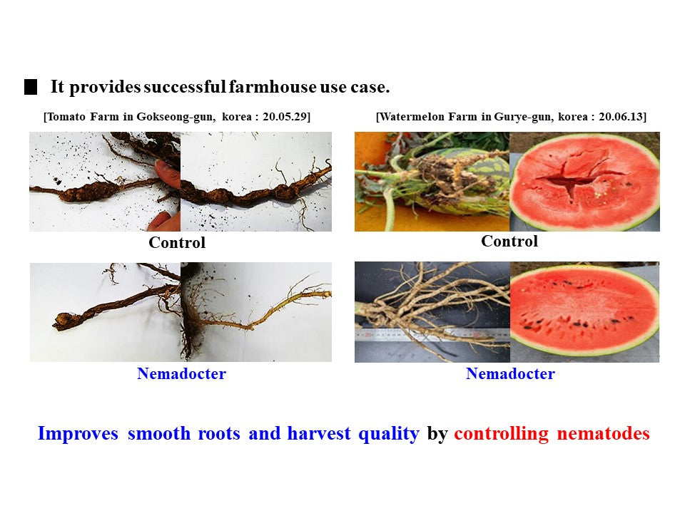 Nemadocter Biopesticide  product for nematode control 1L  Light brown microbial cultures | Type and content of raw materials : 100% microbial extract