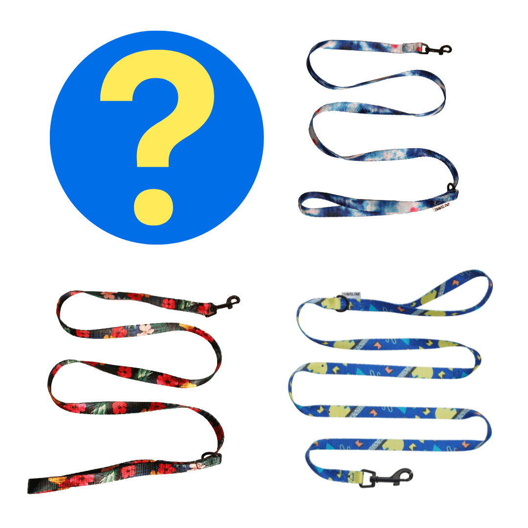 FREE Mystery Leash - Spend $39+