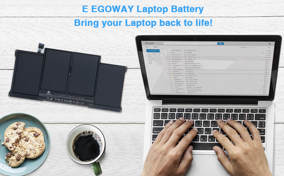 A1450 Egoway battery