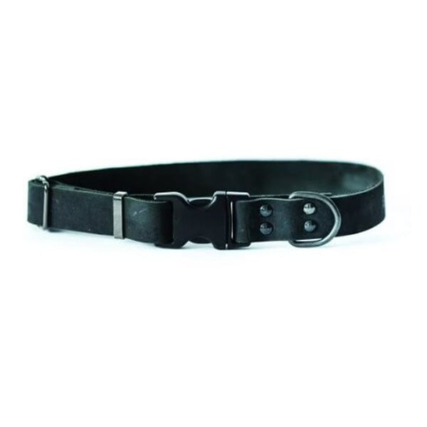 EURO DOG - Genuine Leather Sport Style Dog Collar
