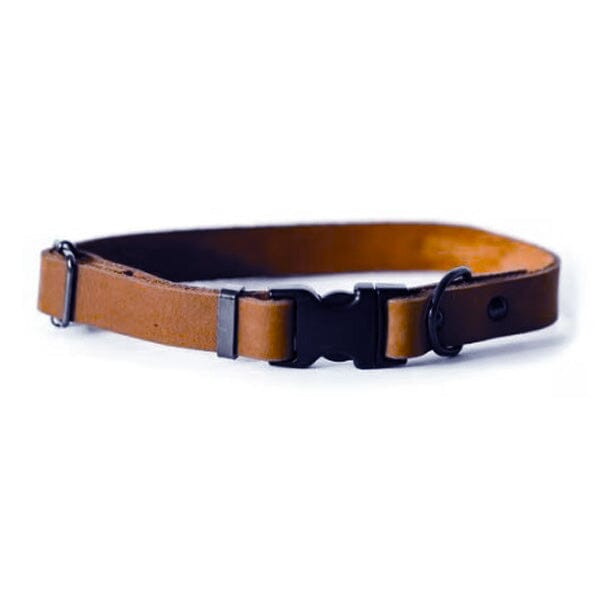 EURO DOG - Genuine Leather Sport Style Dog Collar