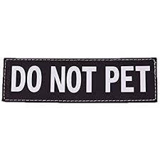 Ezydog Convert Harness Badges (Alpha, Do Not Pet, In Training, Service Dog, Tough Guy)