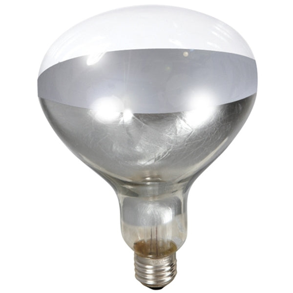 Miller Manufacture Company Clear Heat Lamp Bulb 250 watt