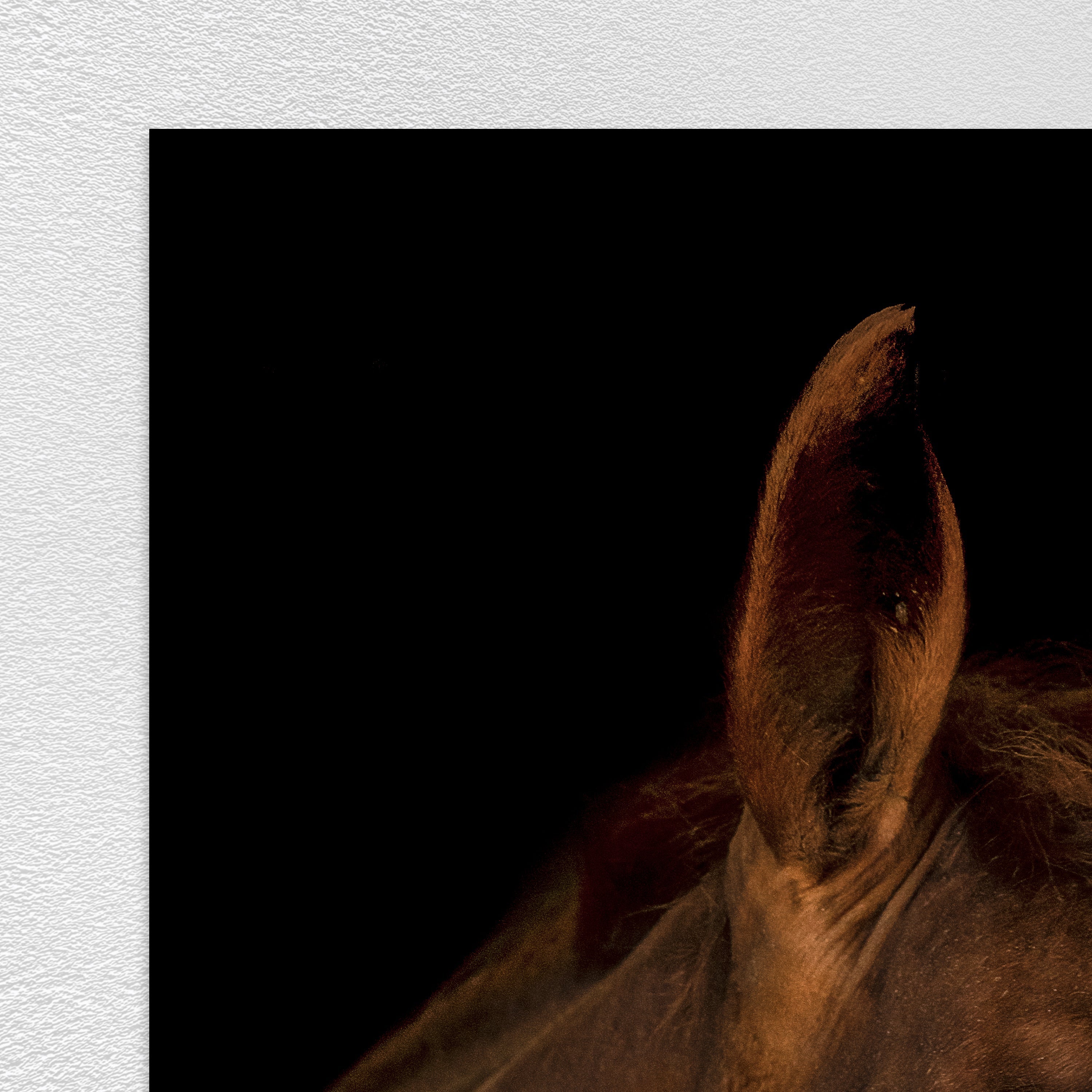 Portrait of Horse III by Adam Mowery
