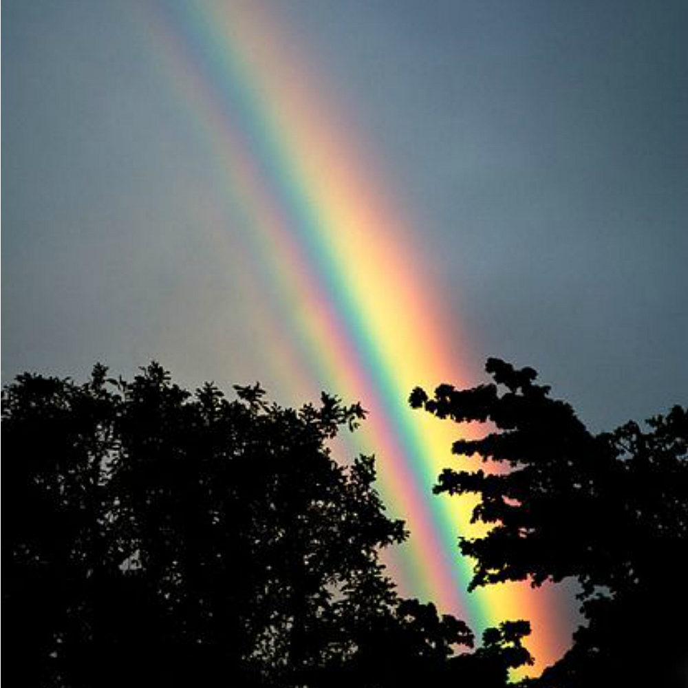 Rainbow Blessings