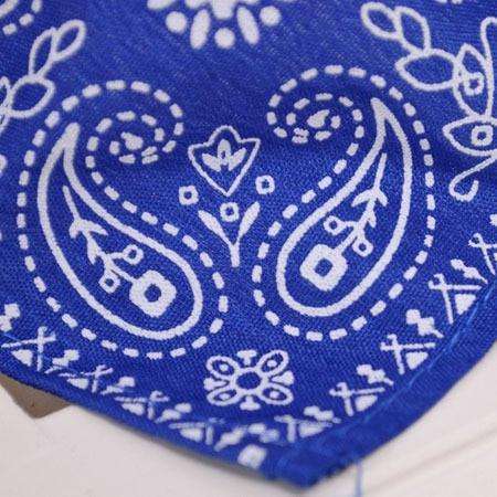 Swish Swag Pet Bandanna Scarf Collar