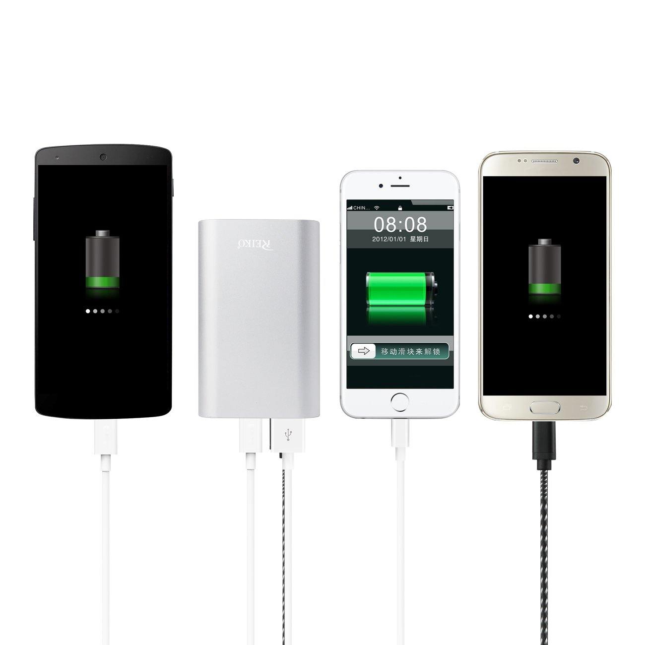 6800Mah Universal Power Bank With Micro Cable And Dural OuTPUt Port In Silver