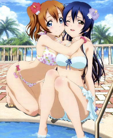 Kousaka Honoka and Umi Sonoda from Love Live! School Idol Project