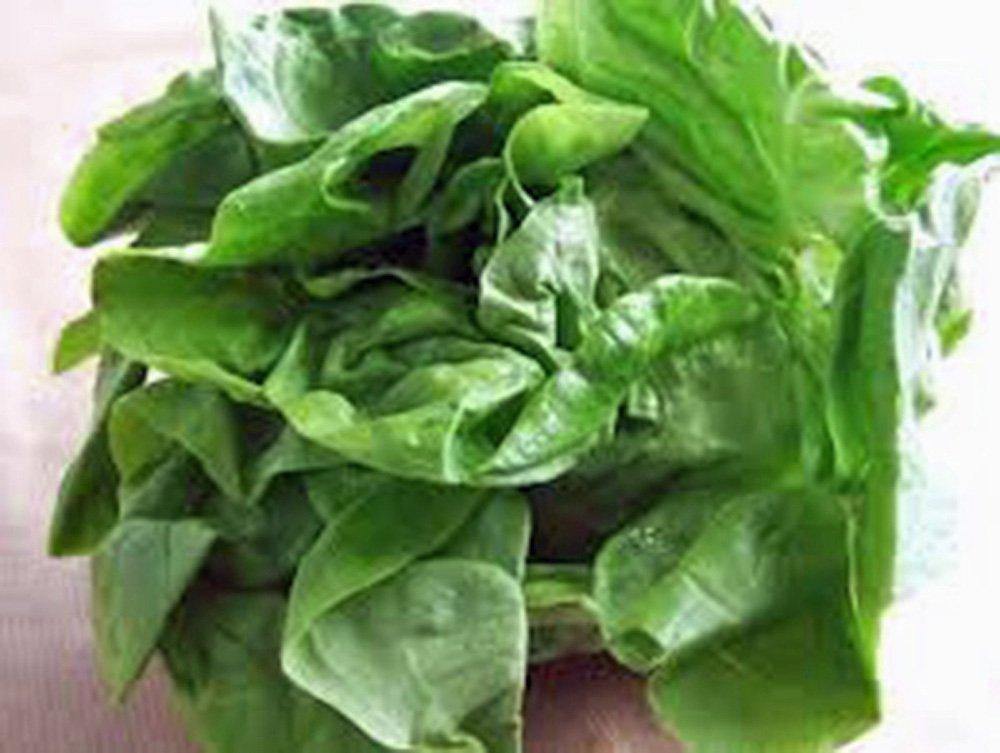 Lettuce Seed, Butterhead Buttercrunch, Heirloom,  NON-GMO Seeds,