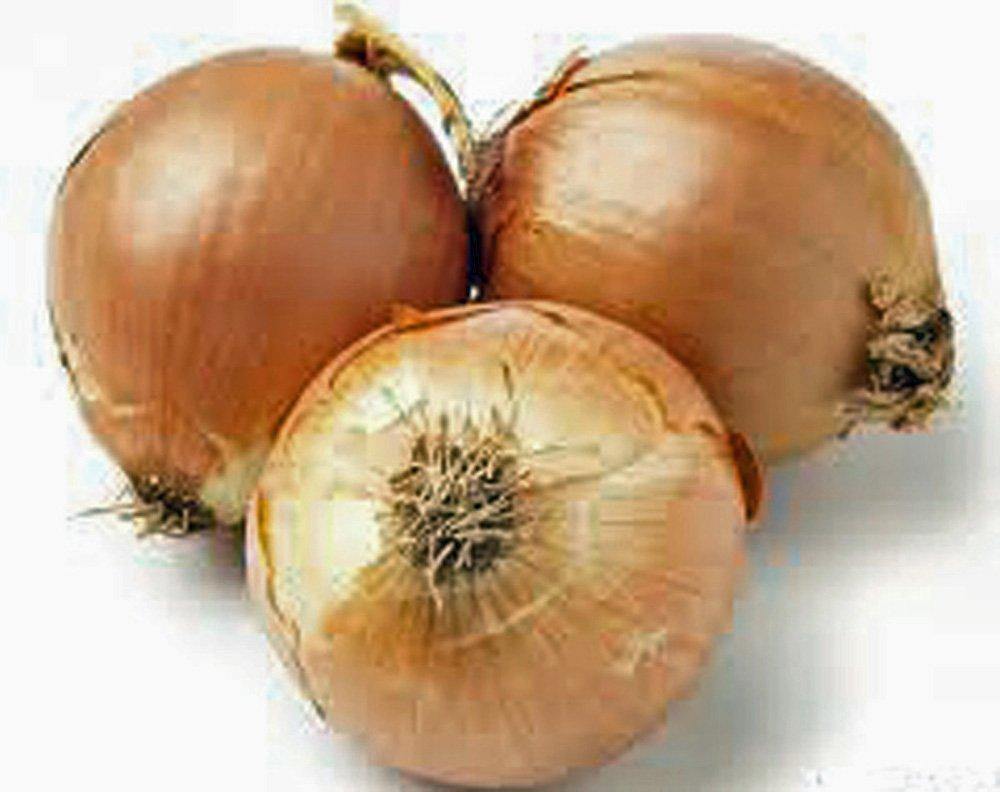 Onion, Yellow Spanish onion seeds, Heirloom,  NON- GMO, One of the most popular for gardeners, this jumbo-sized onion is mild with golden brown skin.