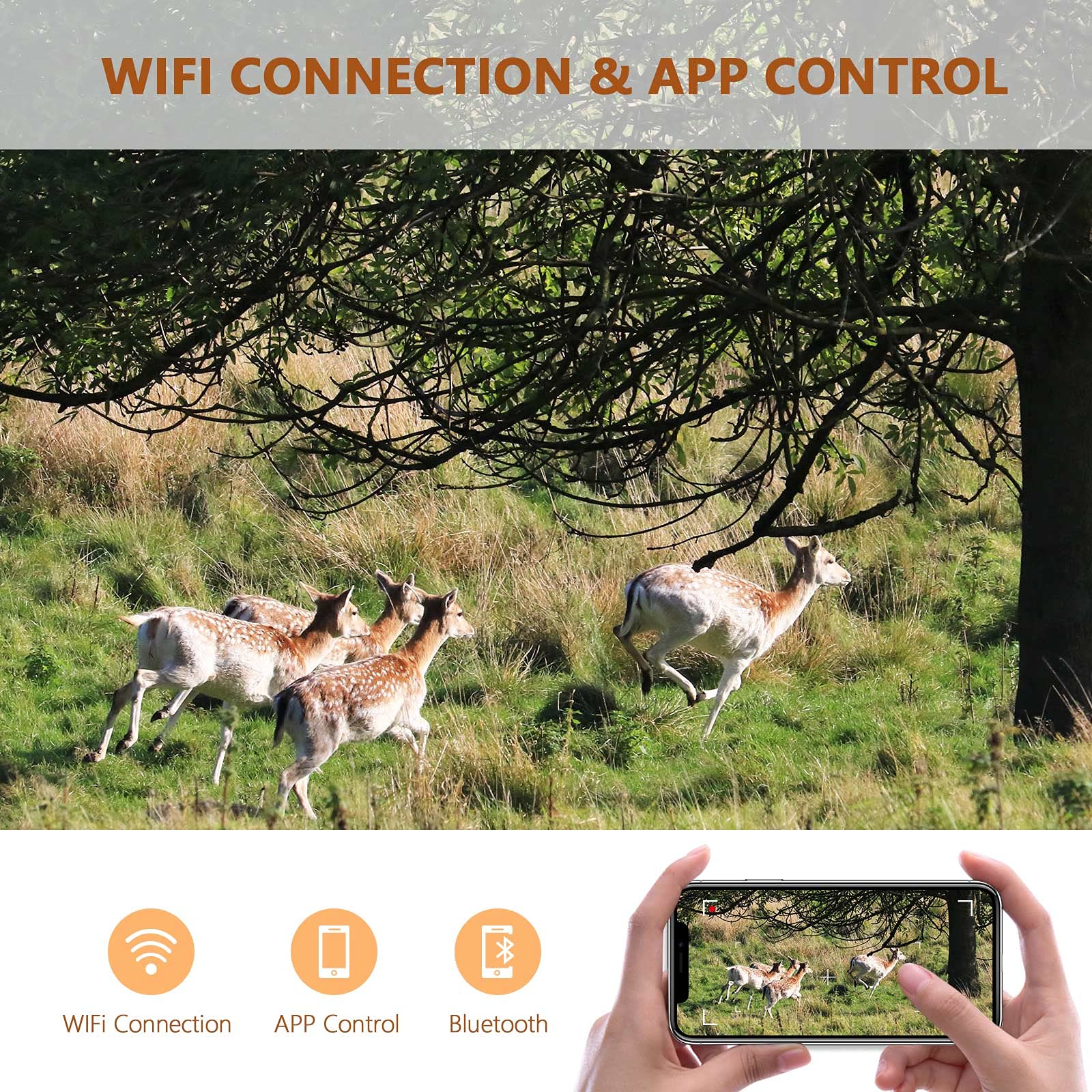 liDCAM action camera