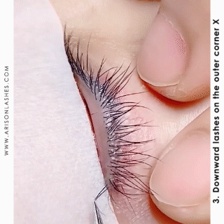 Downward lashes on the outer corner