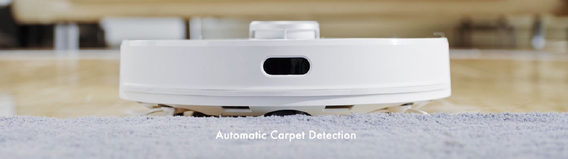 Automatic Carpet Detection