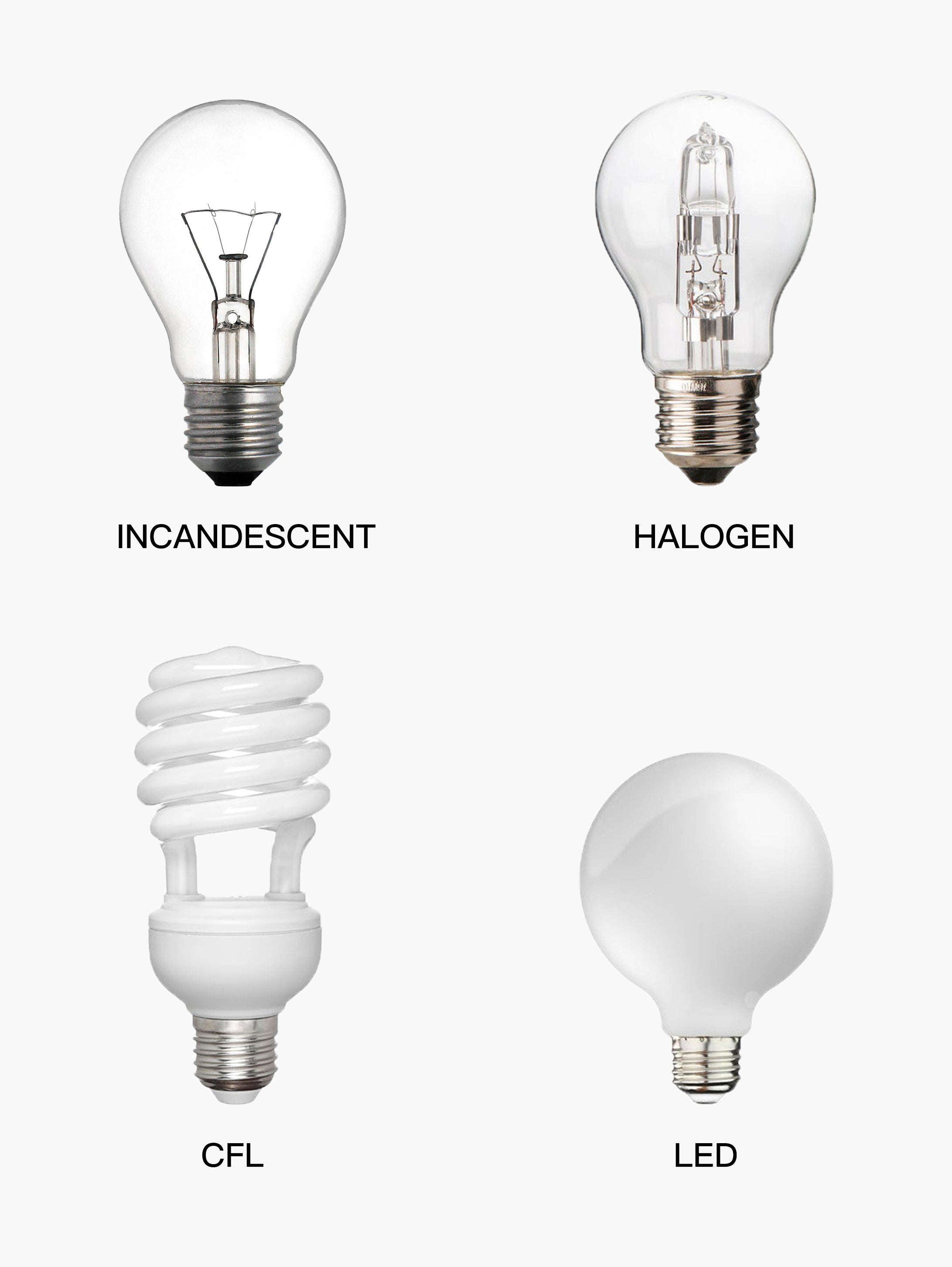 Types of Light Bulbs | Sofary