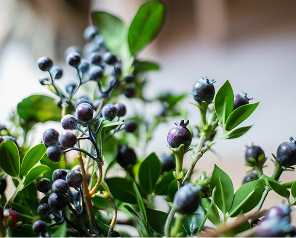 Flower Arrangement Ideas for Home Decoration. Simple Artificial Flowers for Living Room. Blueberry Fruit Branch. Spring Artificial Floral for Bedroom