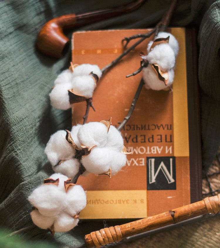 Cotton Branch. Table Centerpiece. Spring Artificial Floral for Dining Room. Bedroom Flower Arrangement Ideas. Simple Modern Flower Arrangement Ideas for Home Decoration