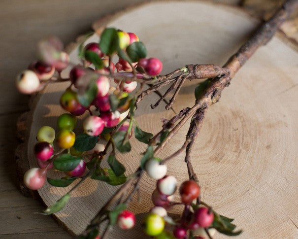 Cranberry in Vase, Fruit Branch, Flower Arrangement Ideas for Living Room, Unique Artificial Flowers for Home Decoration, Spring Artificial Floral for Bedroom