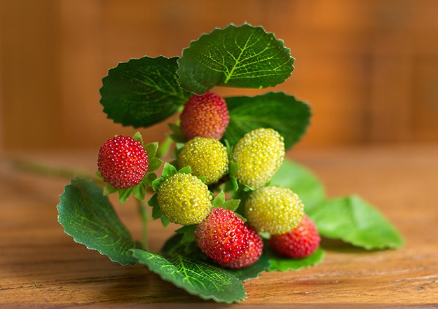 Flower Arrangement Ideas for Home Decoration. Raspberry Fruit Branch. Simple Artificial Flowers for Living Room. Spring Artificial Floral for Dining Room