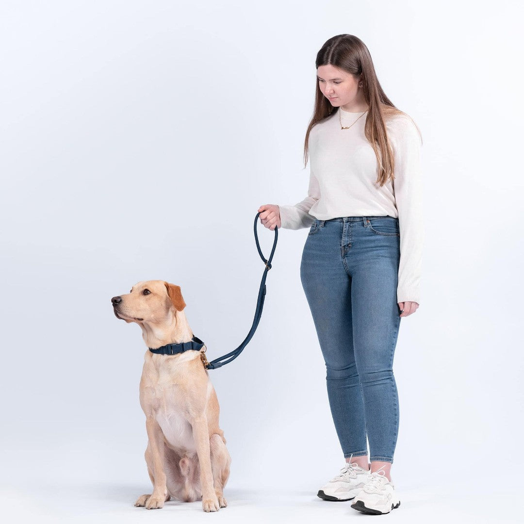 Eco-Friendly Everyday Leash in Spicy Red