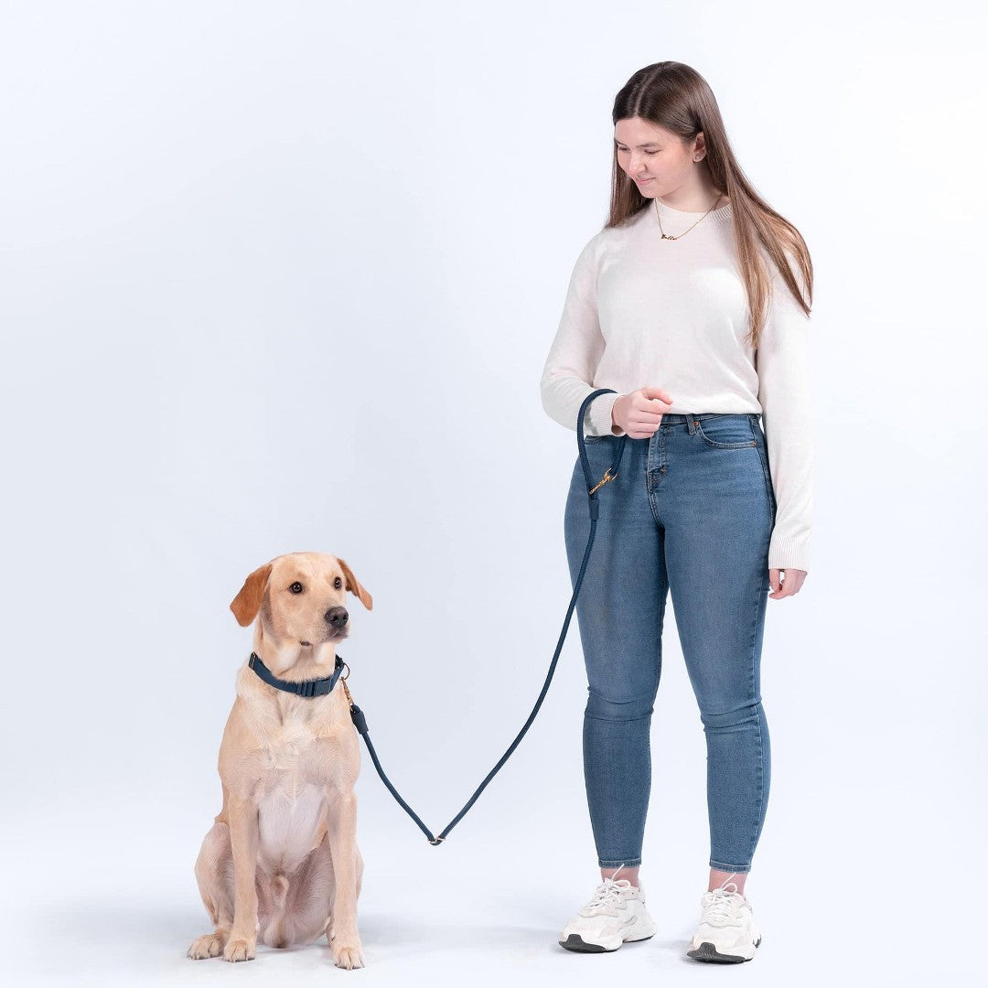 Eco-Friendly Everyday Leash in Black