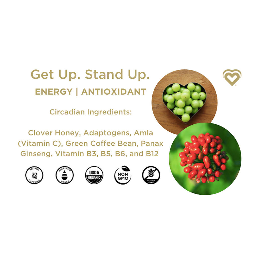 Get Up & Stand Up Lingonberry Acai Morning Beverage (Pack)