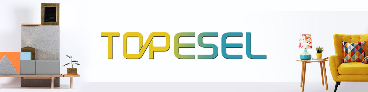 TOPESEL drive and storage expert