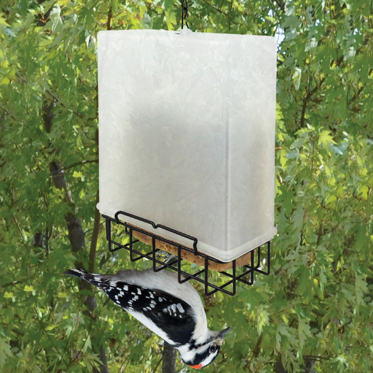 Suet Saver Suet Bird Feeder