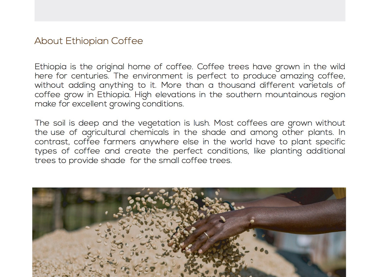 Ethiopian speciality coffee