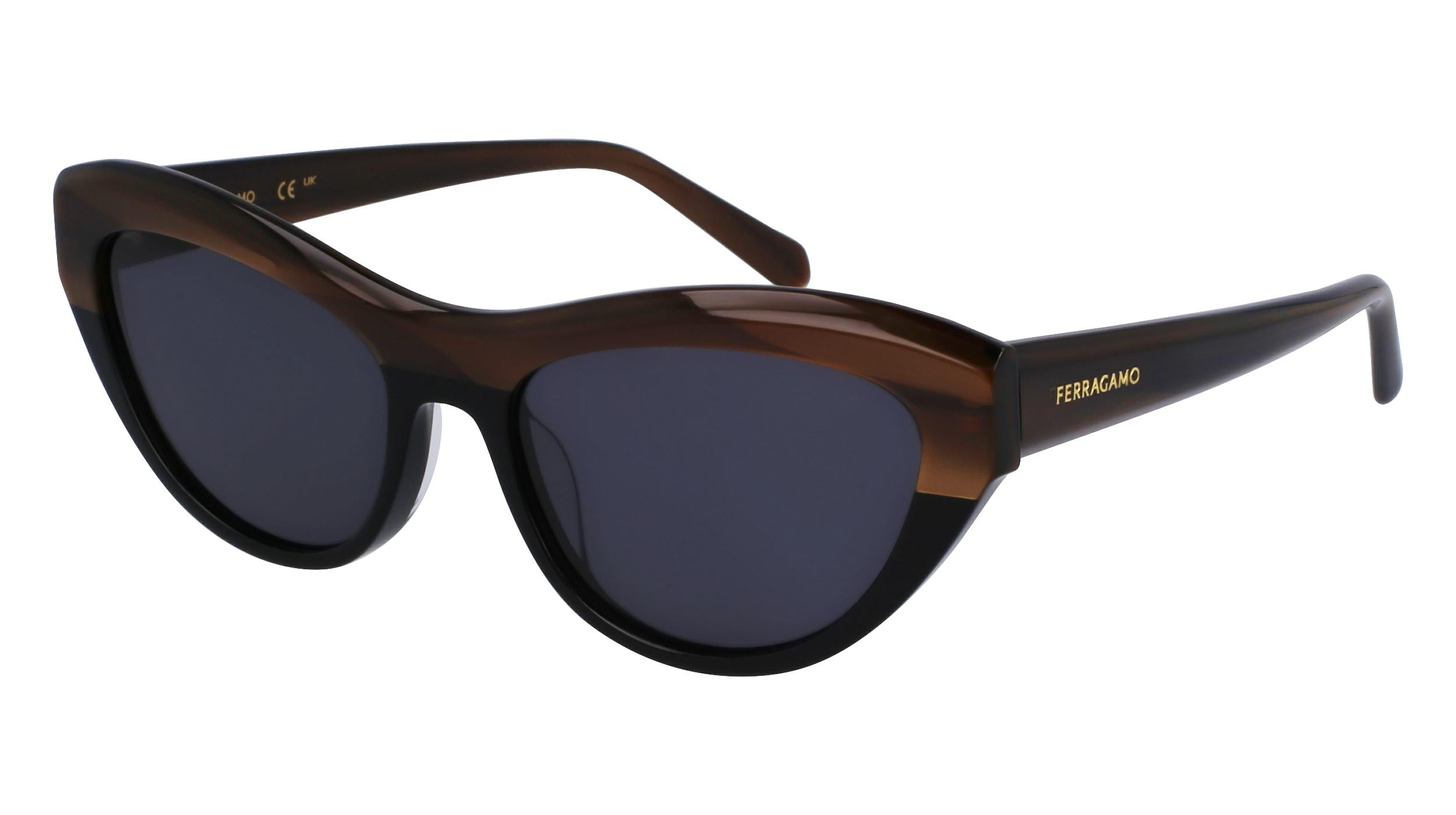  Salvatore Ferragamo SF1103S Sunglasses 