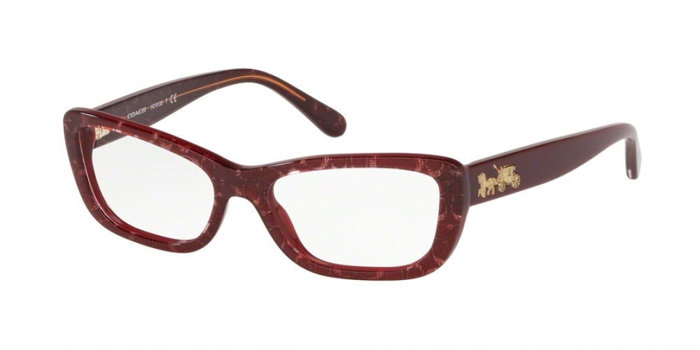  Coach 6135 Eyeglasses 