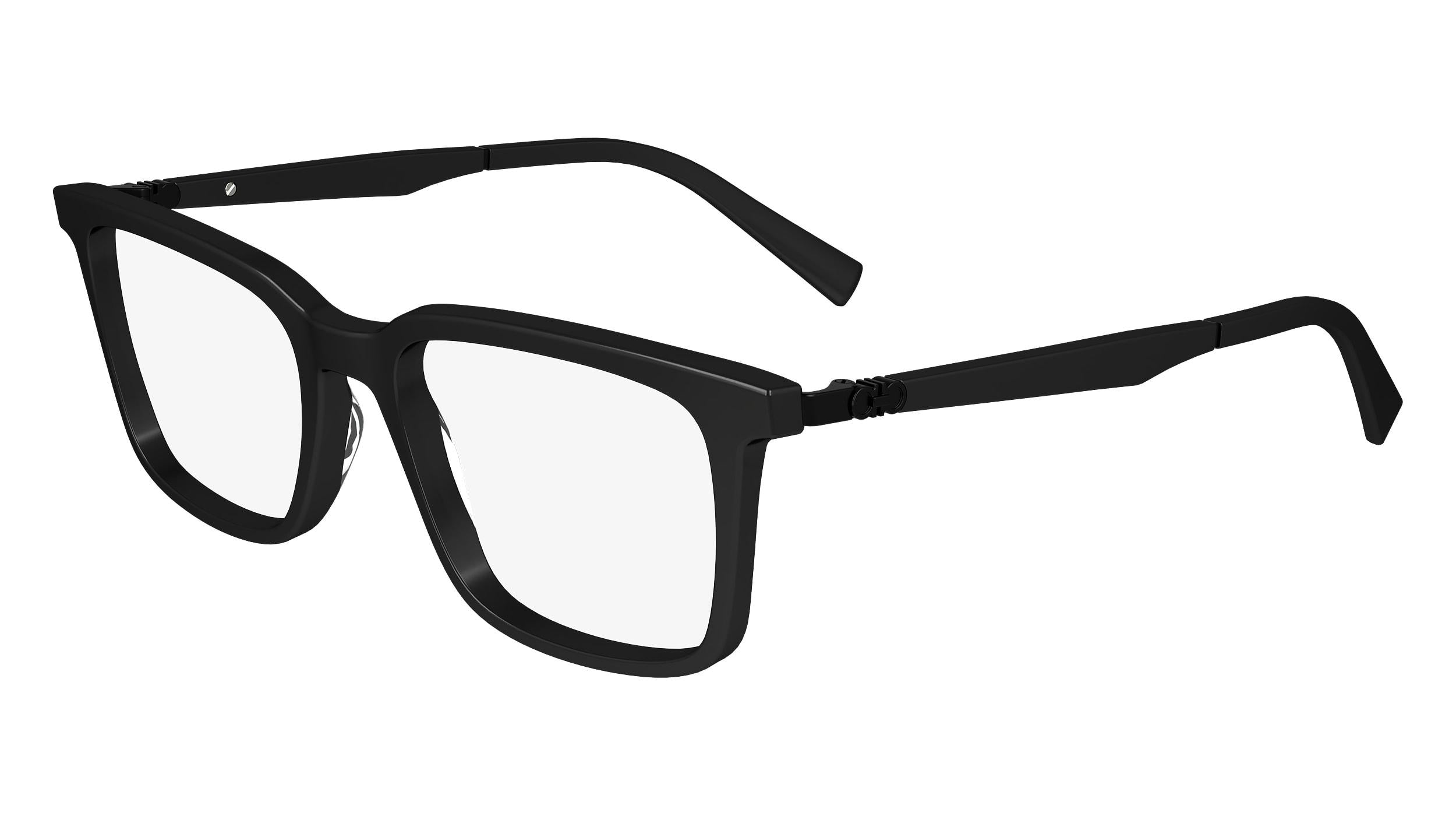  FERRAGAMO SF2969 Eyeglasses 