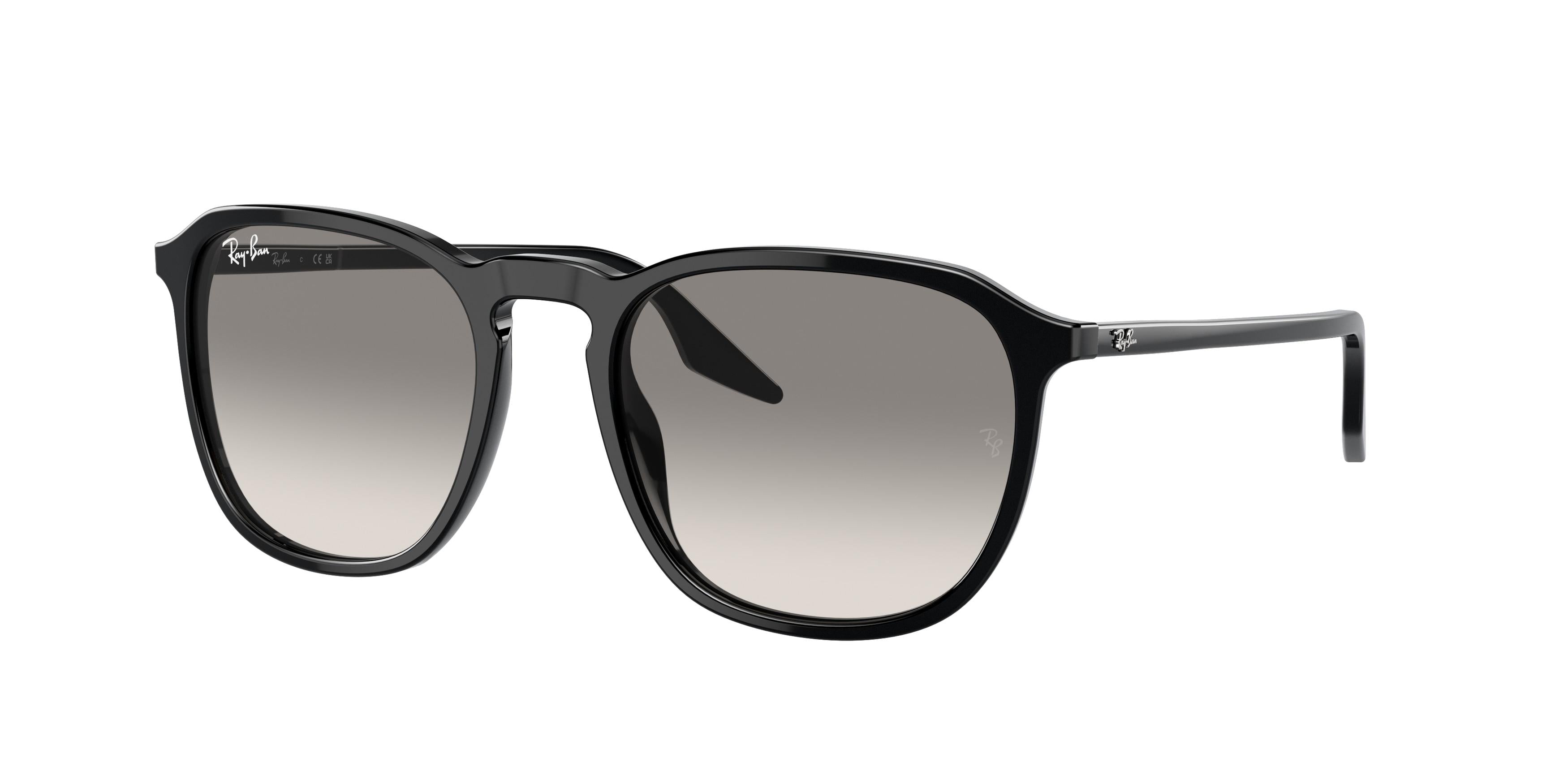  Ray-Ban 2203F Sunglasses 