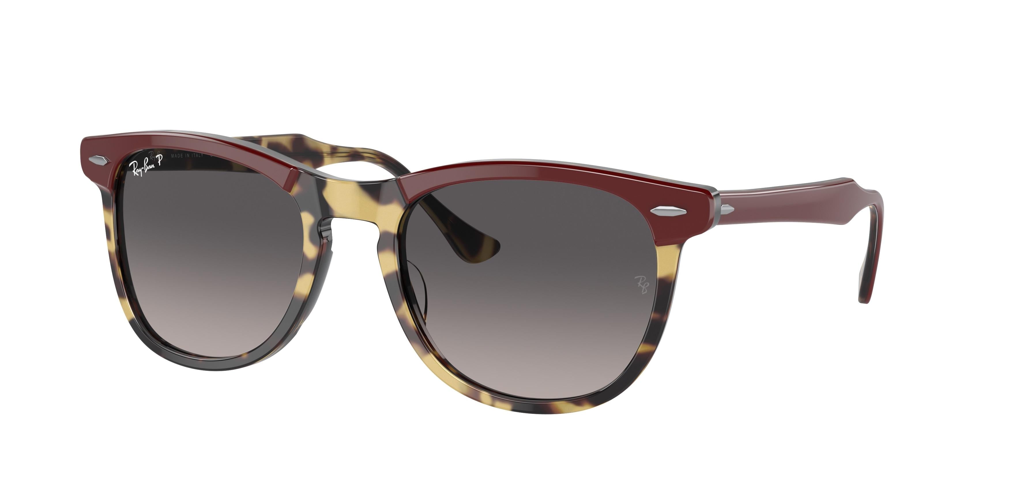  Ray-Ban Eagleeye 2398 Sunglasses 